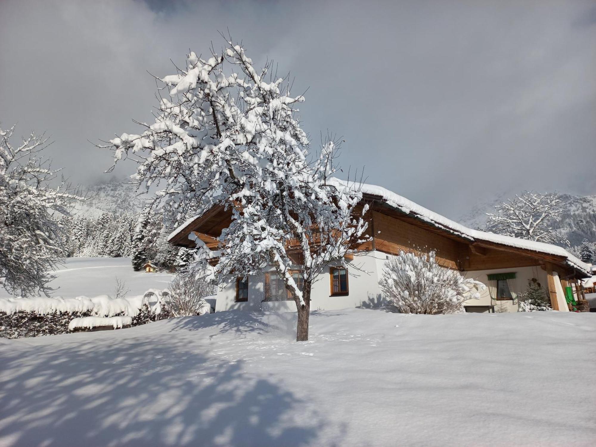 Chalet Gluecklich Sein... Ellmau Eksteriør bilde